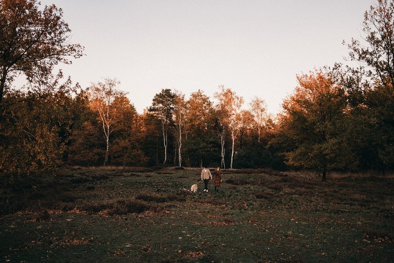 Mysterious Setting for Engagment Shoot